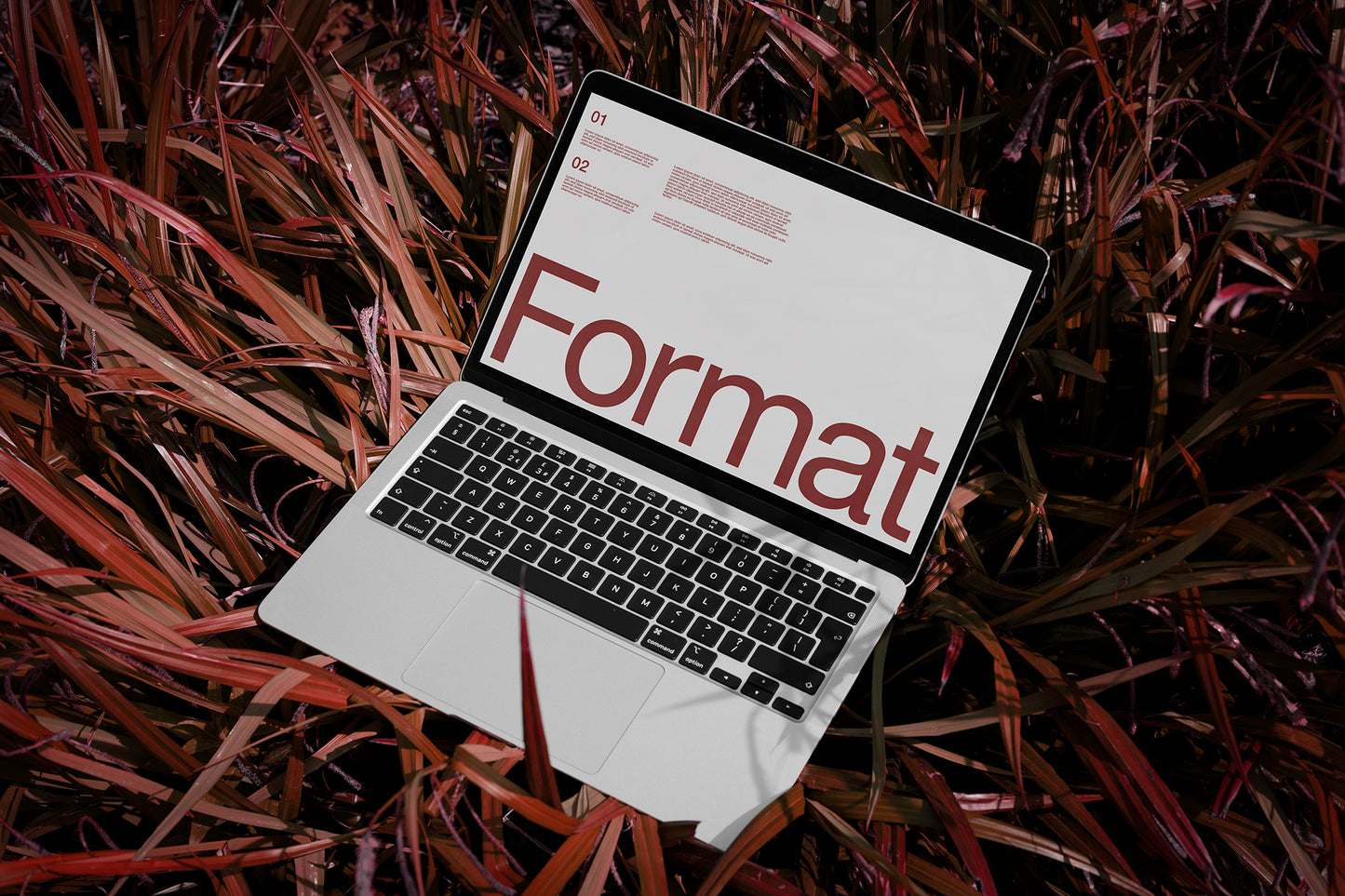 FORMAT EDEN MACBOOK