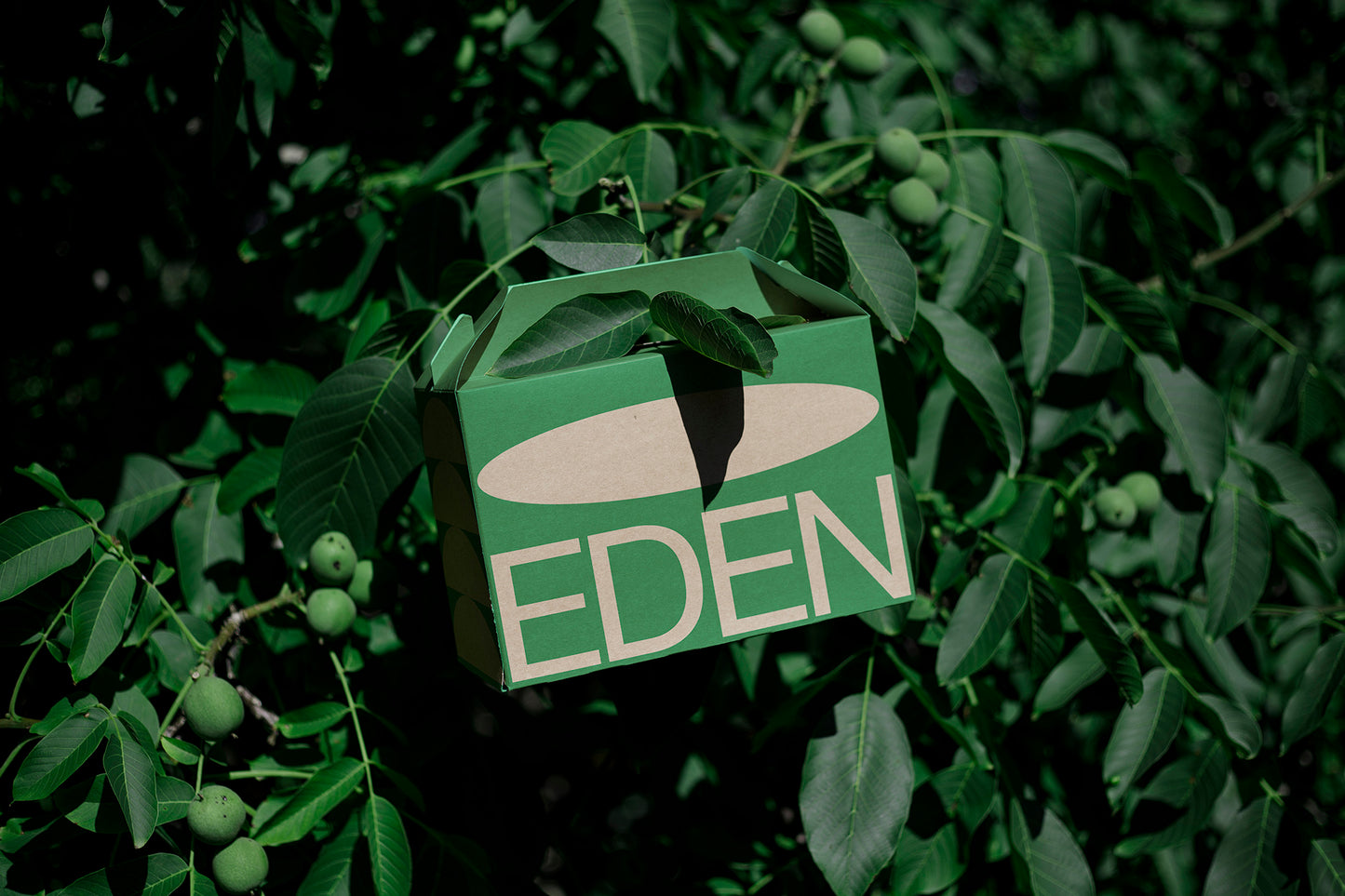 FORMAT EDEN LARGE BOX