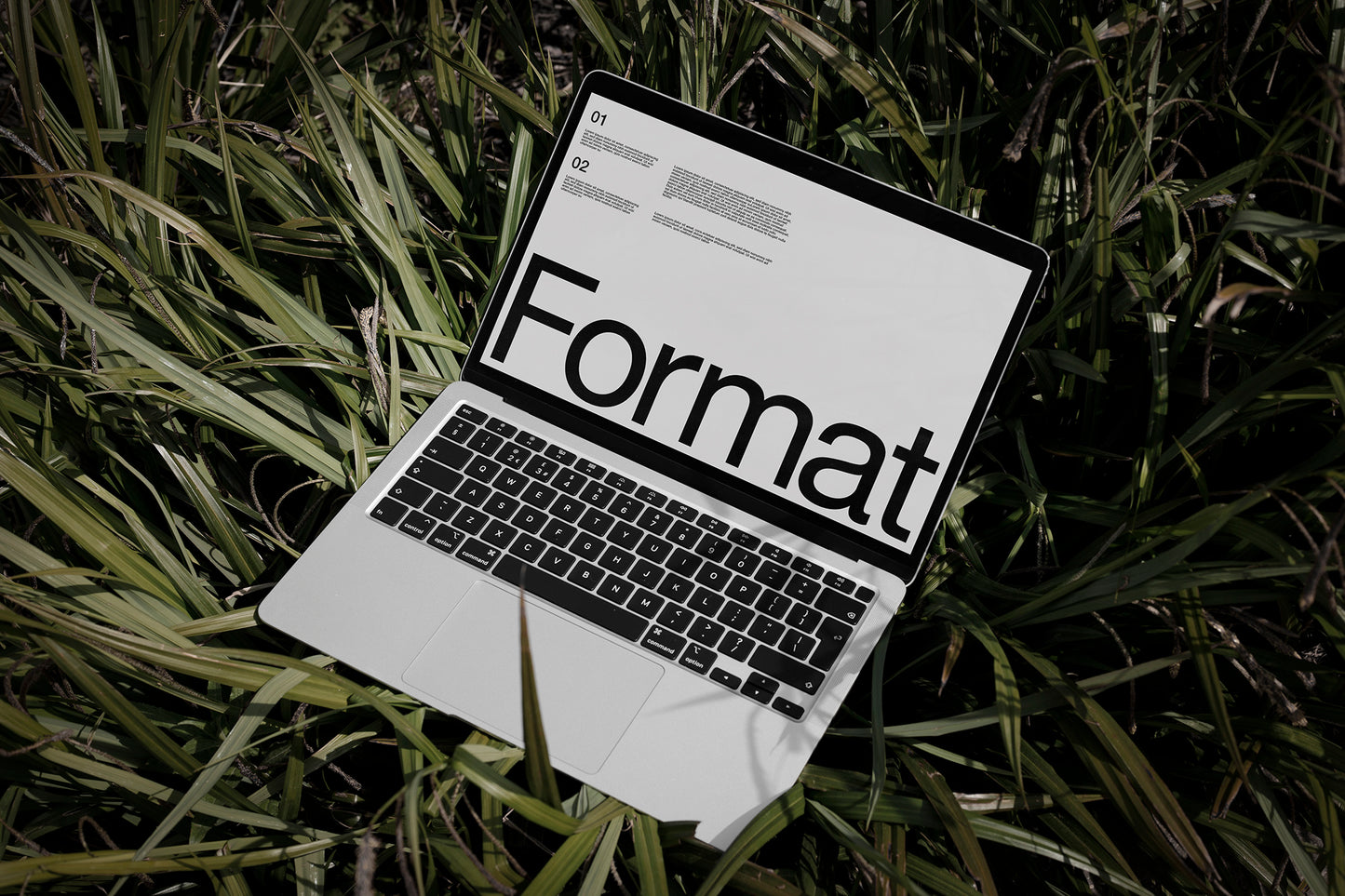 FORMAT EDEN MACBOOK