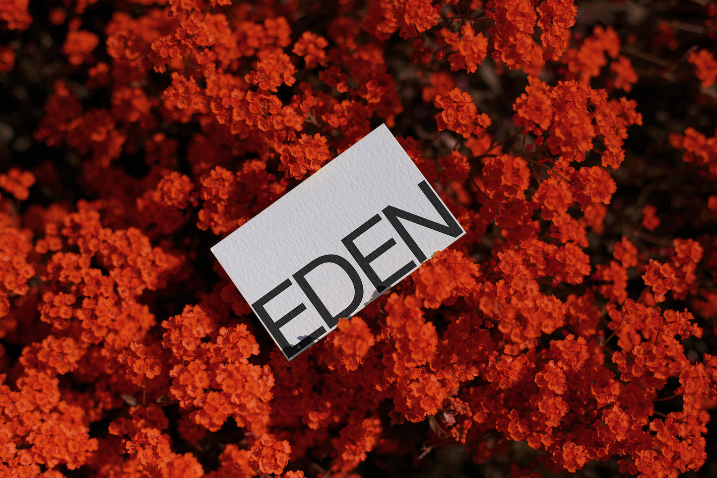 FORMAT EDEN BUSINESS CARD