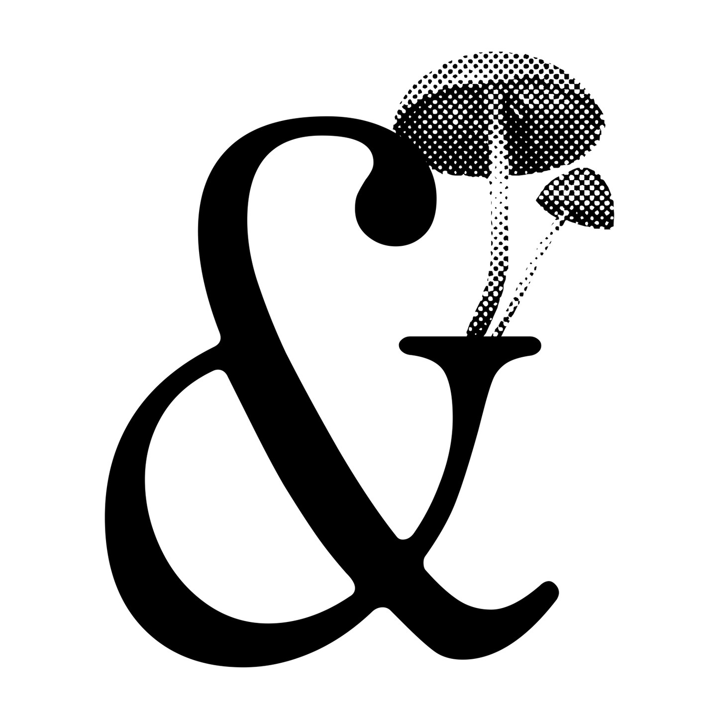 Clarel Serif
