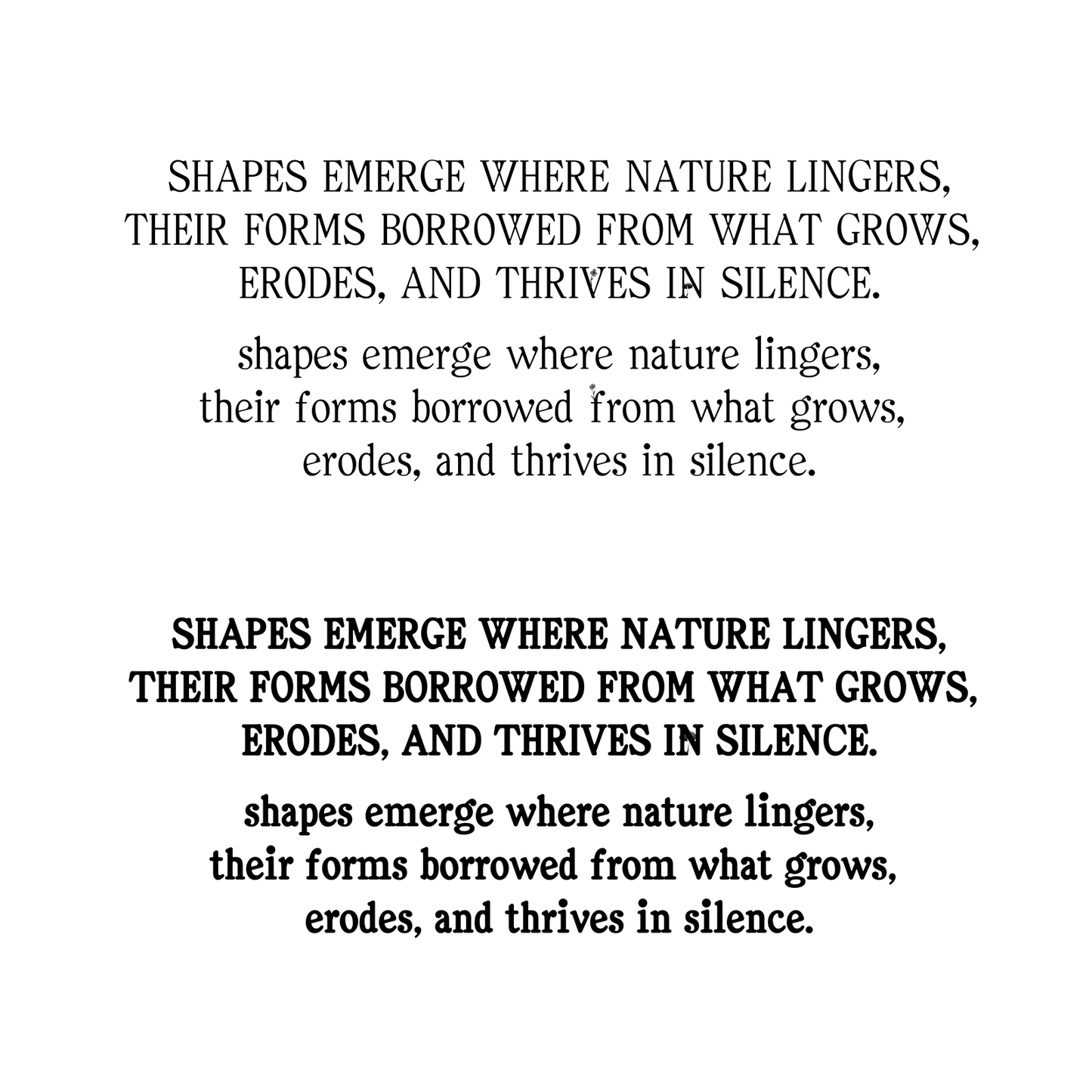 Clarel Serif