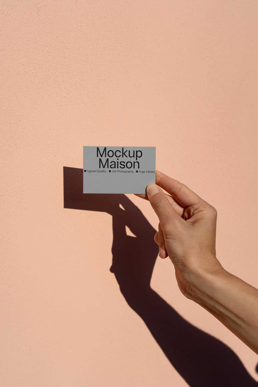 Business Card Mockup BC-D-02