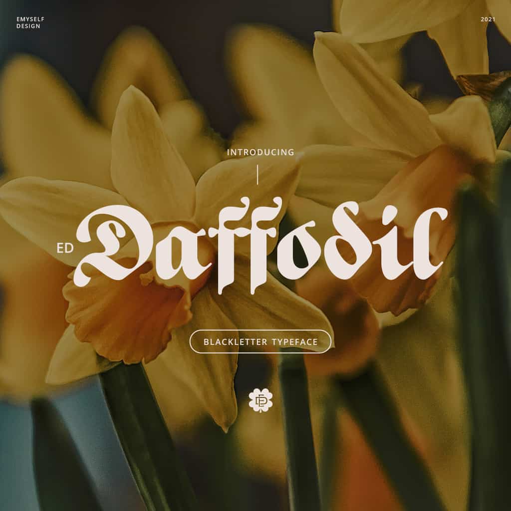 ED Daffodil