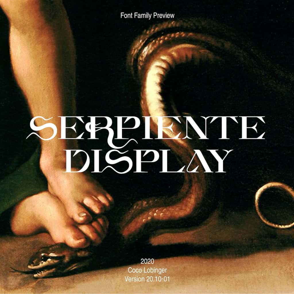 Serpiente Display Medium
