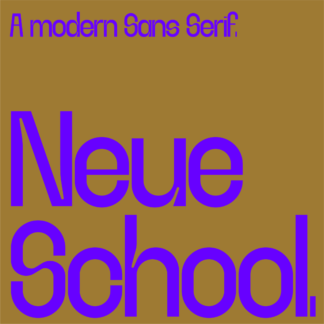 Neue School Font